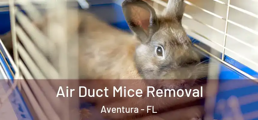  Air Duct Mice Removal Aventura - FL