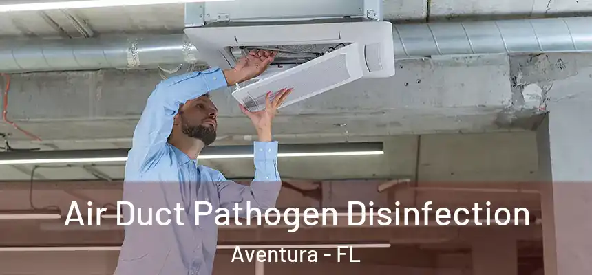 Air Duct Pathogen Disinfection Aventura - FL
