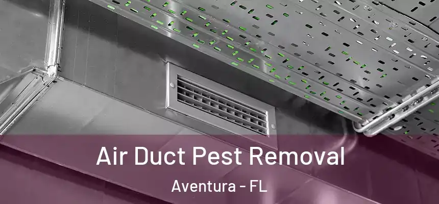 Air Duct Pest Removal Aventura - FL