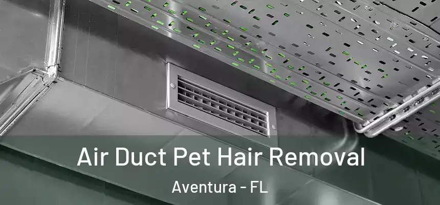 Air Duct Pet Hair Removal Aventura - FL