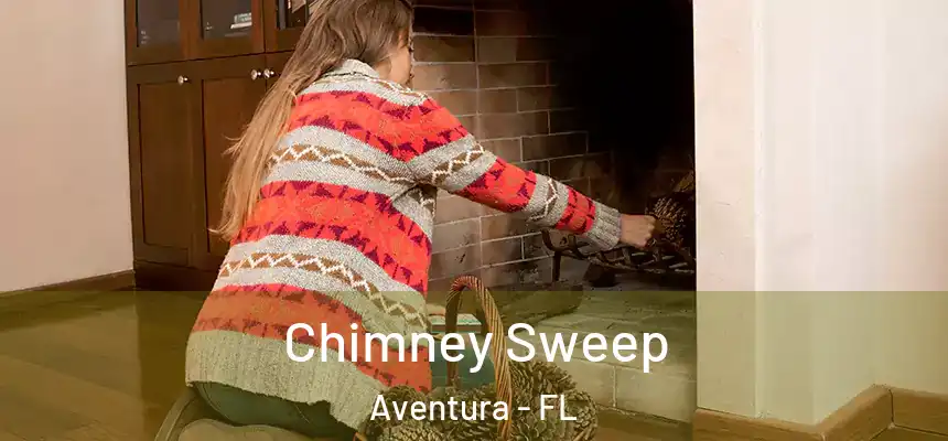 Chimney Sweep Aventura - FL