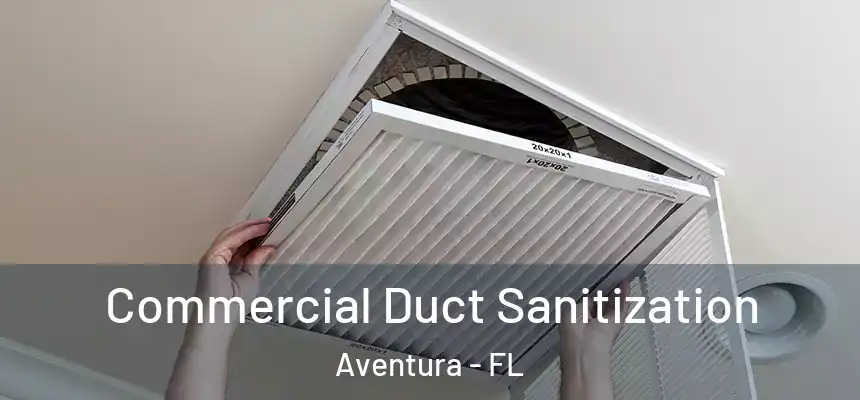 Commercial Duct Sanitization Aventura - FL