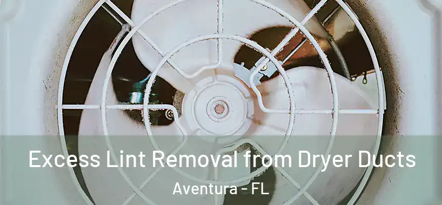 Excess Lint Removal from Dryer Ducts Aventura - FL