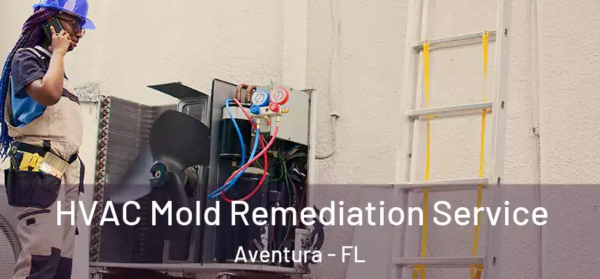 HVAC Mold Remediation Service Aventura - FL