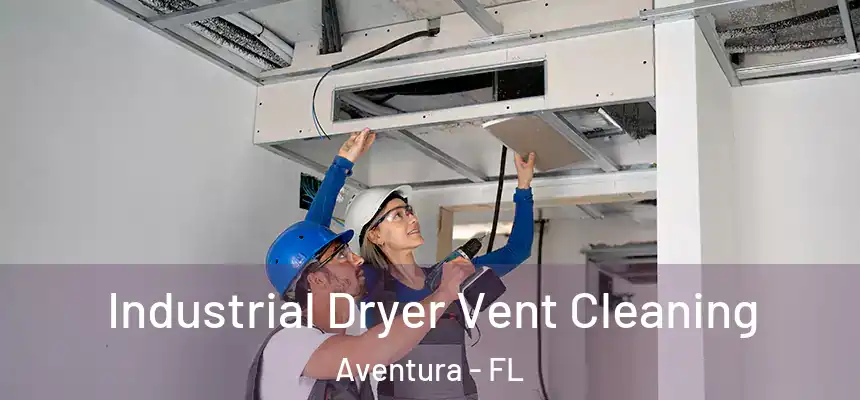 Industrial Dryer Vent Cleaning Aventura - FL