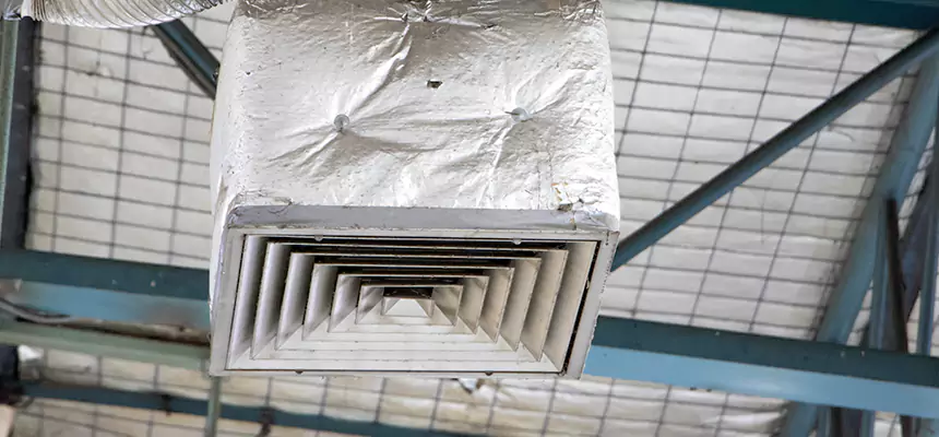 Our HVAC Mold Remediation Service Services in Aventura, FL