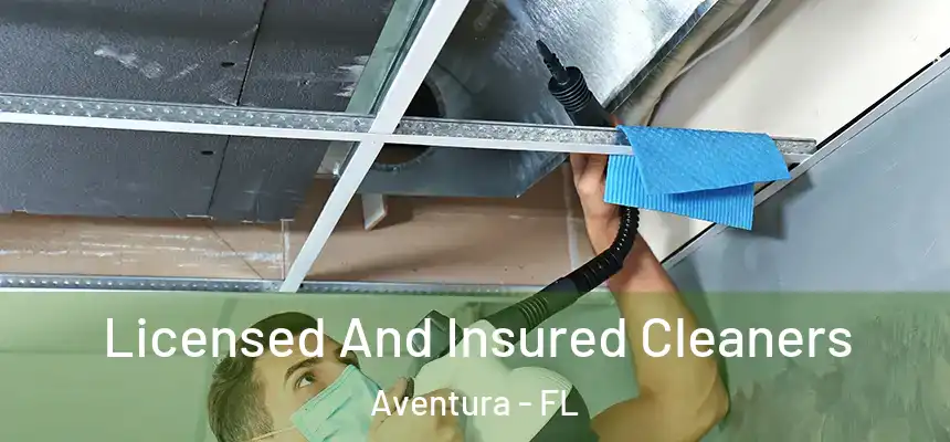 Licensed And Insured Cleaners Aventura - FL