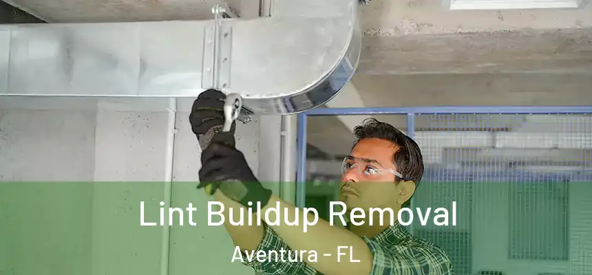 Lint Buildup Removal Aventura - FL