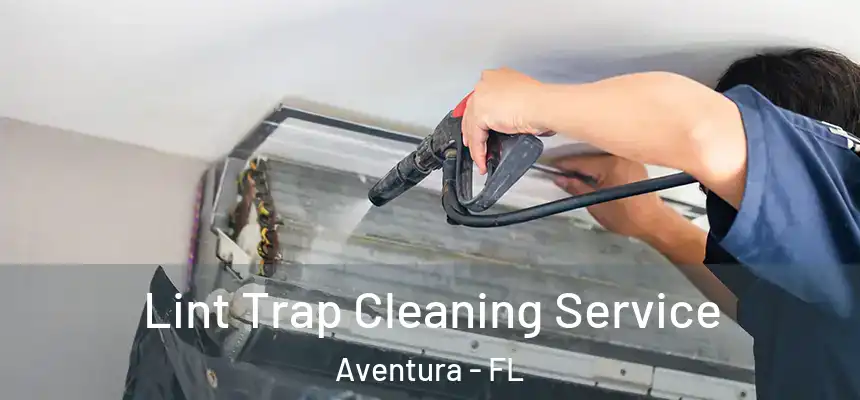 Lint Trap Cleaning Service Aventura - FL