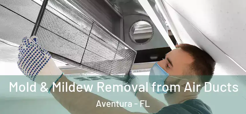 Mold & Mildew Removal from Air Ducts Aventura - FL