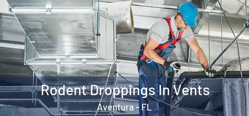 Rodent Droppings In Vents Aventura - FL