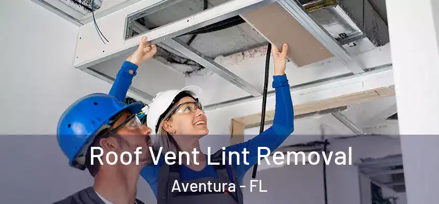 Roof Vent Lint Removal Aventura - FL