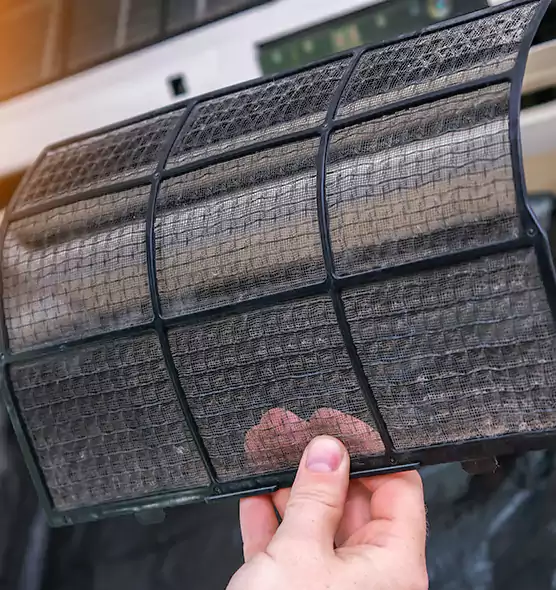 About Pet Dander Duct Cleaning in Aventura, FL