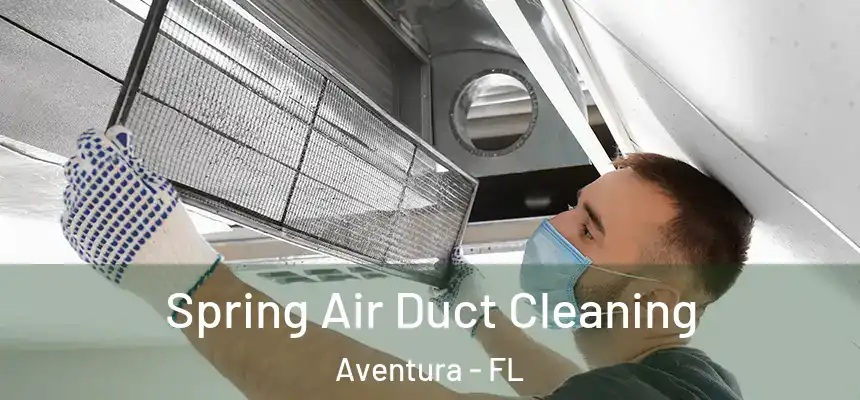 Spring Air Duct Cleaning Aventura - FL