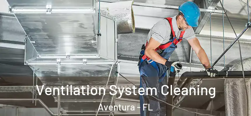 Ventilation System Cleaning Aventura - FL
